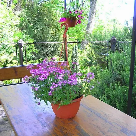 Apartament Studio Mimoza