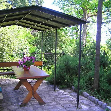 Studio Mimoza Apartament